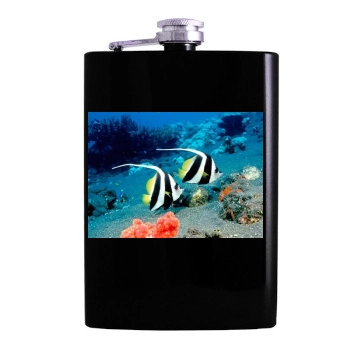 Underwater World Hip Flask