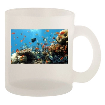 Underwater World 10oz Frosted Mug