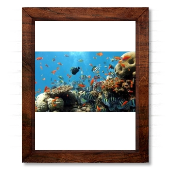 Underwater World 14x17