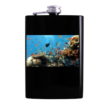 Underwater World Hip Flask