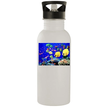 Underwater World Stainless Steel Water Bottle