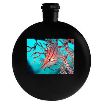 Underwater World Round Flask