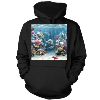 Underwater World Mens Pullover Hoodie Sweatshirt