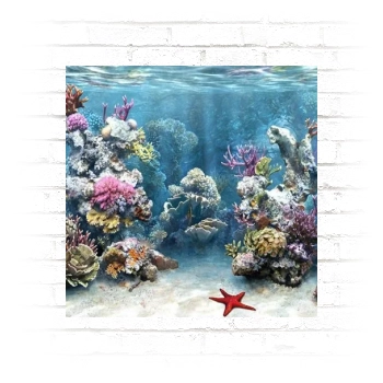 Underwater World Poster