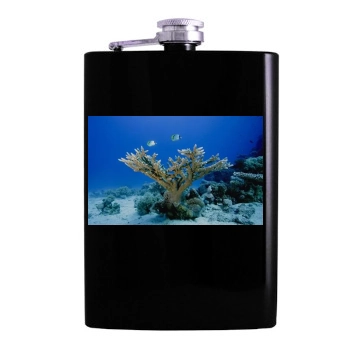 Underwater World Hip Flask