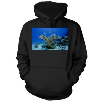 Underwater World Mens Pullover Hoodie Sweatshirt