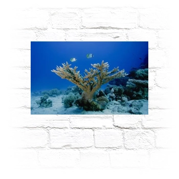 Underwater World Metal Wall Art