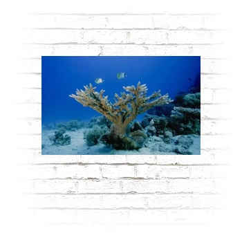 Underwater World Poster