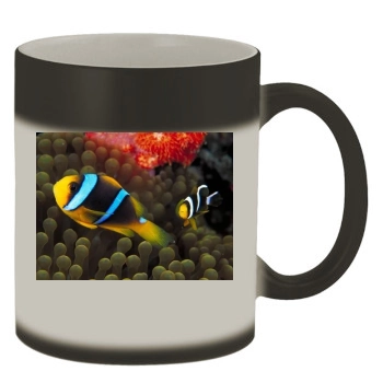 Underwater World Color Changing Mug