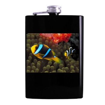 Underwater World Hip Flask