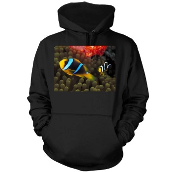 Underwater World Mens Pullover Hoodie Sweatshirt