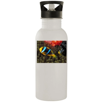 Underwater World Stainless Steel Water Bottle