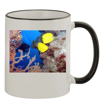 Underwater World 11oz Colored Rim & Handle Mug