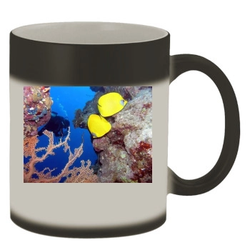 Underwater World Color Changing Mug