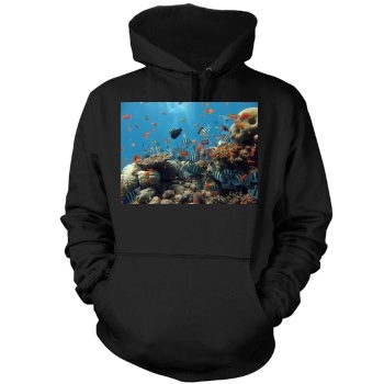 Underwater World Mens Pullover Hoodie Sweatshirt