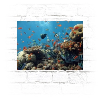 Underwater World Metal Wall Art