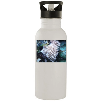 Underwater World Stainless Steel Water Bottle