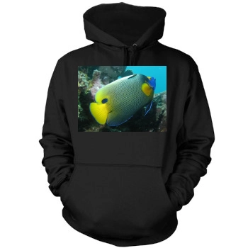 Underwater World Mens Pullover Hoodie Sweatshirt