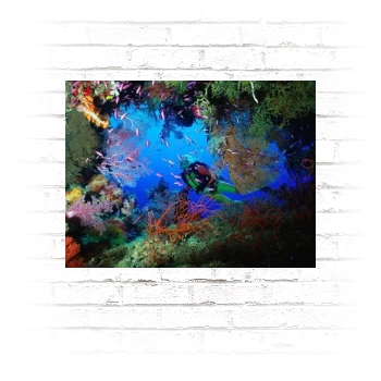 Underwater World Poster