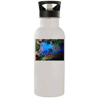 Underwater World Stainless Steel Water Bottle