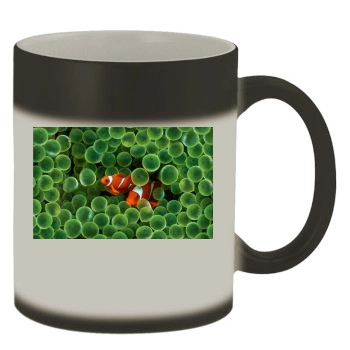 Underwater World Color Changing Mug