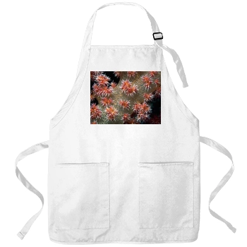 Underwater World Apron