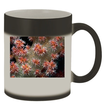 Underwater World Color Changing Mug