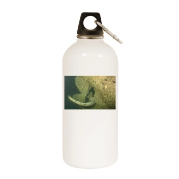 Underwater World White Water Bottle With Carabiner