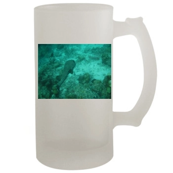 Underwater World 16oz Frosted Beer Stein