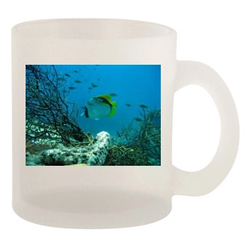 Underwater World 10oz Frosted Mug