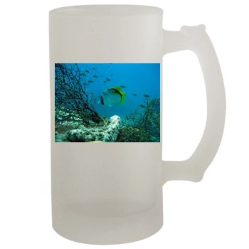 Underwater World 16oz Frosted Beer Stein