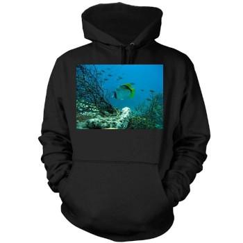 Underwater World Mens Pullover Hoodie Sweatshirt