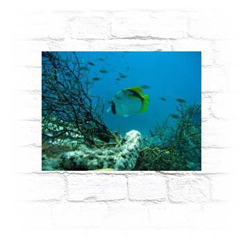 Underwater World Metal Wall Art