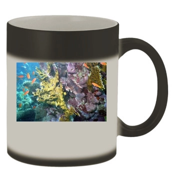 Underwater World Color Changing Mug