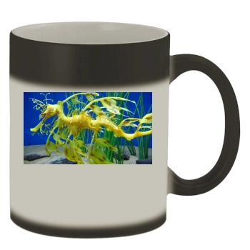 Underwater World Color Changing Mug