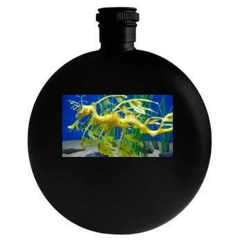 Underwater World Round Flask