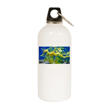 Underwater World White Water Bottle With Carabiner