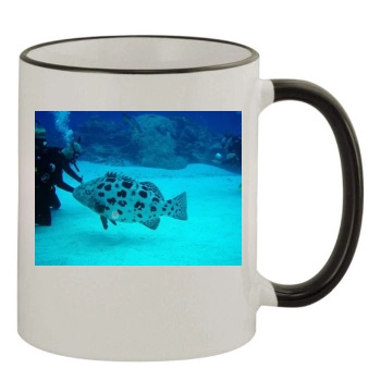 Underwater World 11oz Colored Rim & Handle Mug