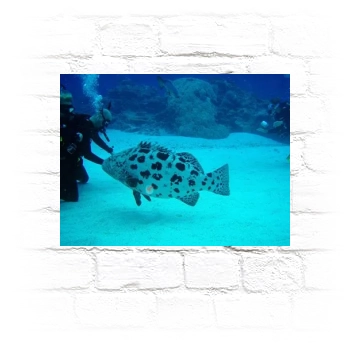 Underwater World Metal Wall Art