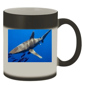 Underwater World Color Changing Mug