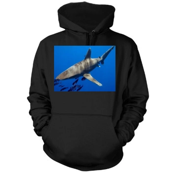 Underwater World Mens Pullover Hoodie Sweatshirt