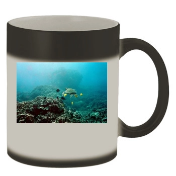 Underwater World Color Changing Mug