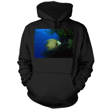 Underwater World Mens Pullover Hoodie Sweatshirt