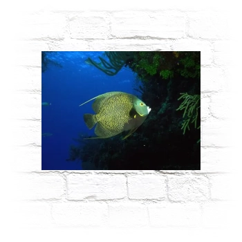 Underwater World Metal Wall Art