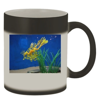 Underwater World Color Changing Mug