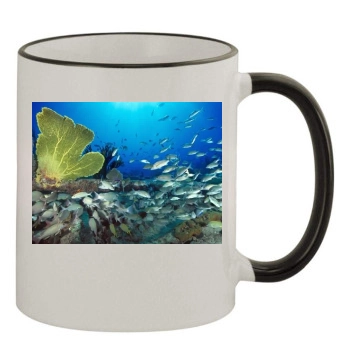 Underwater World 11oz Colored Rim & Handle Mug