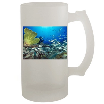 Underwater World 16oz Frosted Beer Stein