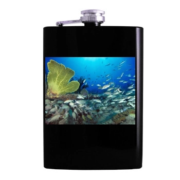 Underwater World Hip Flask