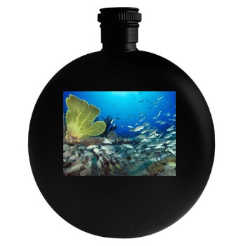 Underwater World Round Flask