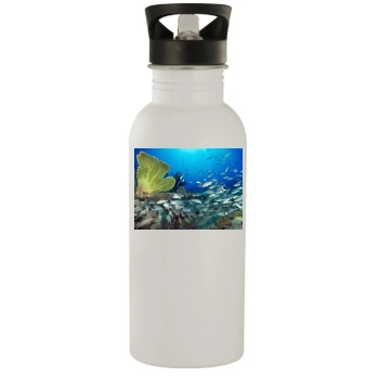 Underwater World Stainless Steel Water Bottle